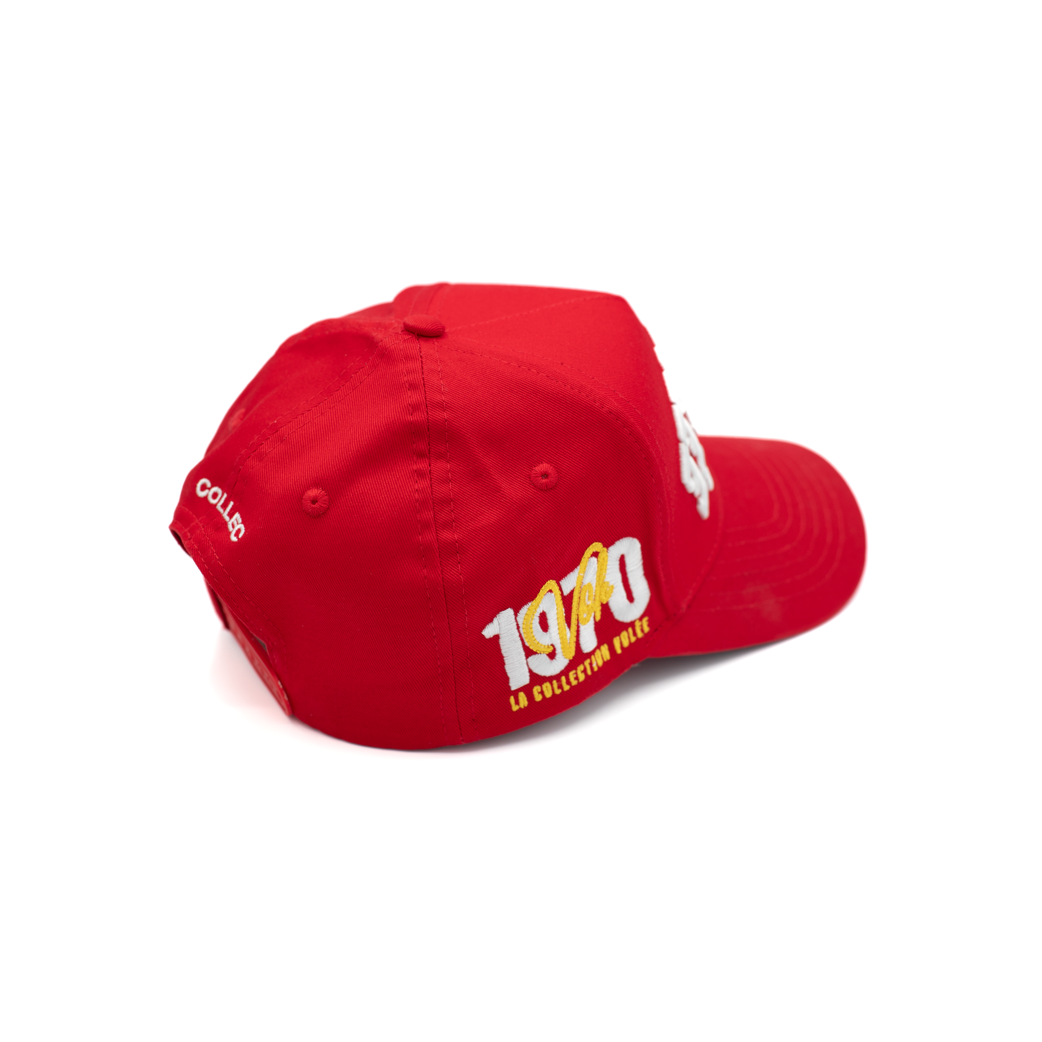 Stolen Art Cap