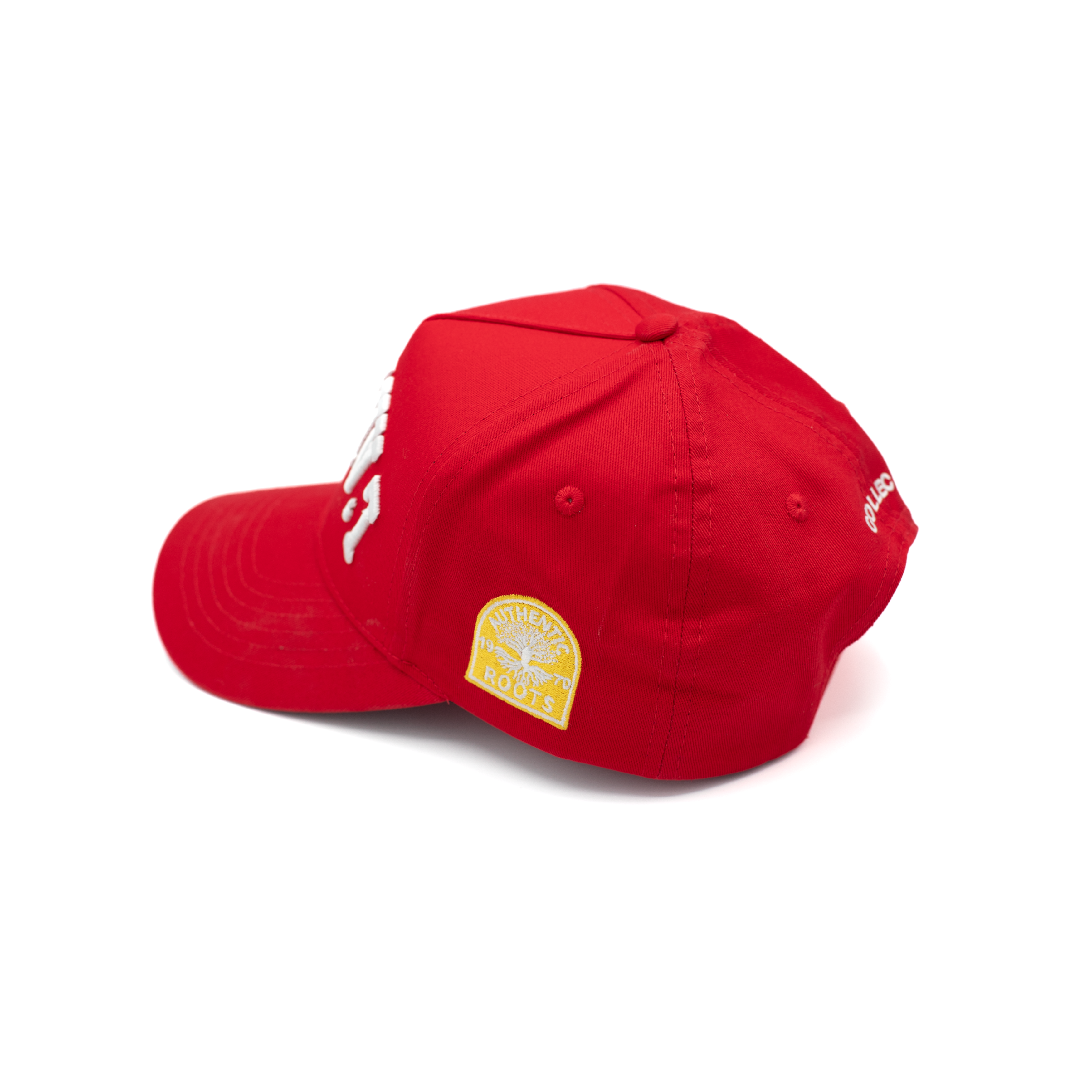 Stolen Art Cap